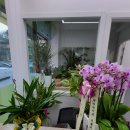 공쌤수학교습소 이미지