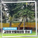 자놀자 이미지