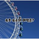 세렌디피티펜션 | 속초숙소 - 속초 숙소 추천, 속초 숙박, 속초 펜션