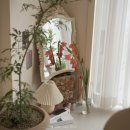 어브(aube) 이미지