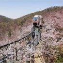 광주 천변길2 이미지