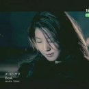 메리보아 이미지