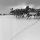 삼만목장 이미지