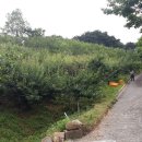 태경 공인중개사사무소 이미지