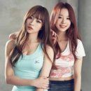 하니 이미지