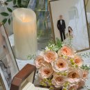 아울러 | 규수당 문래 아이폰스냅 추천 아울러스냅 1인작가 만족 후기