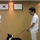 이리와