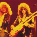 Hot Dog PC 이미지