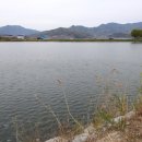 구룡천제방 이미지