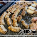 우대양곱 | 우대양곱 용산역 곱창 솔직후기