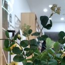 한석봉도서관 1층 이미지