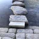 DC땡백화점 이미지