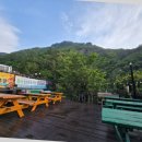 올레펜션 이미지