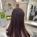 롯데리아 지축역점 | 지축역미용실 '리안헤어' 와인색으로 염색했더니 얼굴톤이 화사해지네요 (염색후 컬러 유지 팁)