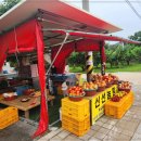 신선농원 이미지