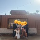 스토리47 | [방탈출 기록 #47] 메모리카니발 - Memory of Poppy /내돈내산 후기