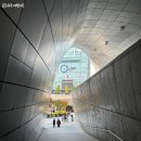 유한프라자 | 동대문디자인플라자 DDP 전시 &lt;창작의 정원&gt;관람, 옥상정원, 동대문 종합시장 구경