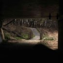 탄동천2 이미지