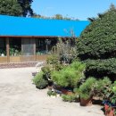 삼학민박 이미지