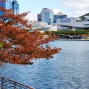 수영강변 이미지