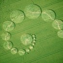 신호유희 이미지