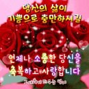 행복나무 이미지
