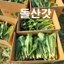 돌산슈퍼