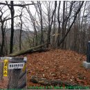 09.새터삼거리 이미지