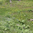 용천약수 이미지