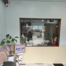 왈로하그루밍 이미지