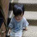 스파렉스21 이미지