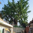 보광경로당 이미지