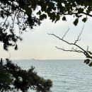 섬마을민박낚시 이미지