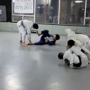 팀 매드 이미지