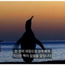 펭귄PC방 이미지