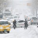 둥지 몸짓의 보금자리 이미지