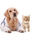 하나로동물병원 이미지