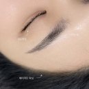 대전 도안동 자연눈썹 , 콤보눈썹 잘하는곳 : 베니숲