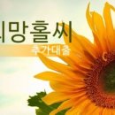 엔젤솔루션