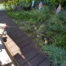 우석어린이집 이미지