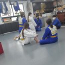 태전 유도 멀티짐 이미지