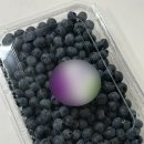 이엘농장 이미지