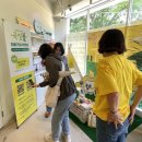 곡성-110 이미지