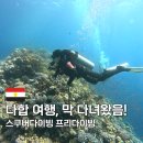 스쿠바민박 | 이집트 다합 여행, 스쿠버다이빙 프리다이빙 즐기고 온 후기(중동 전쟁?)