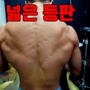 [사우동PT]여름대비 넓은 등판,어깨깡패 운동루틴