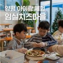 경기도 양평군 사랑나무어린이집 | 양평 아이랑 체험 임실치즈마을 딸기농장 내돈내산