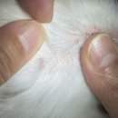 금천종합동물병원 이미지