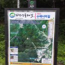 치악산둘레길 3코스 수레너미길 이미지