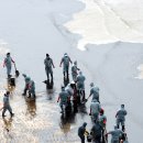 태안 인쇄 이미지