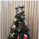 신나는피아노음악학원 이미지